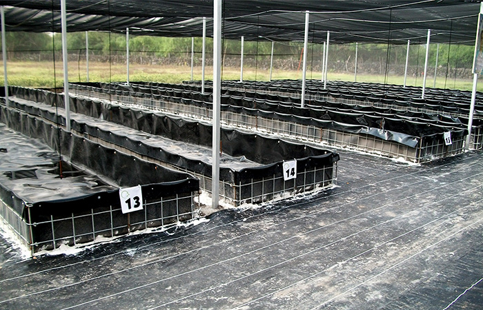 Mallasombra y Lombricultura