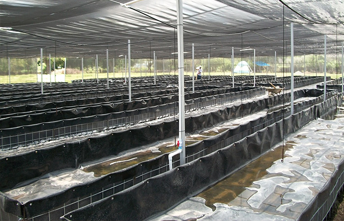 Lombricultura